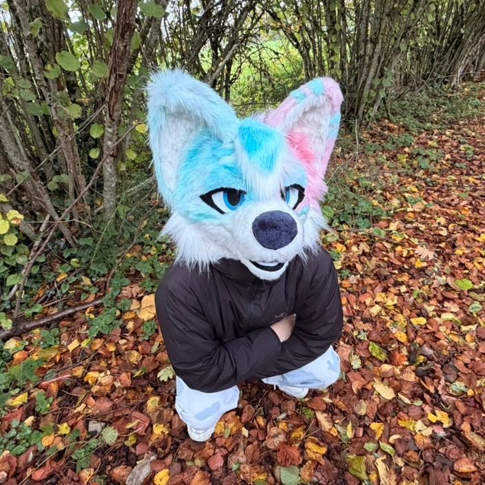 Visuel principal de la communaute LIO